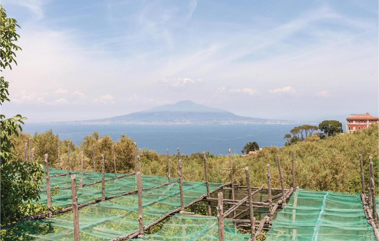 Villa La Limonaia Sorrento Exterior photo